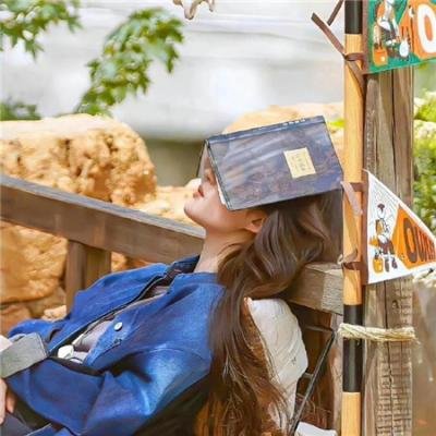 国王说好个绝世奇机